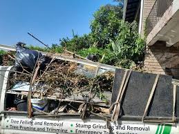 Trusted Round Lake Park, IL Junk Removal Services Experts